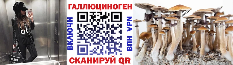 Галлюциногенные грибы мицелий  Армавир 