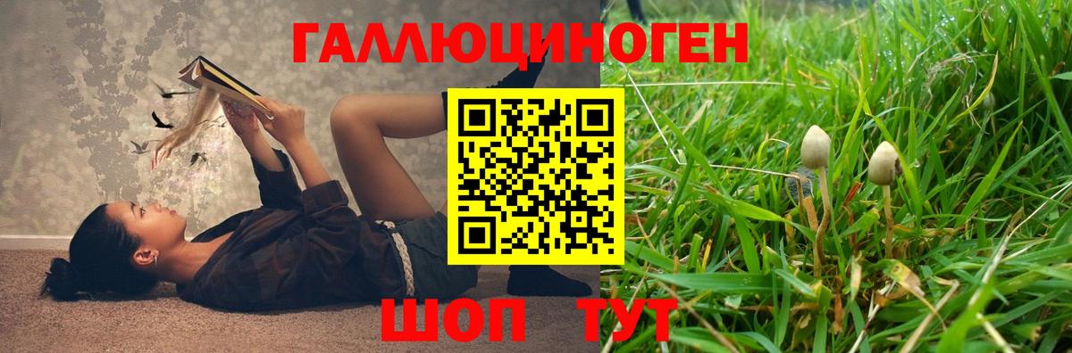 Псилоцибиновые грибы прущие грибы  Вход с VPN  Армавир 